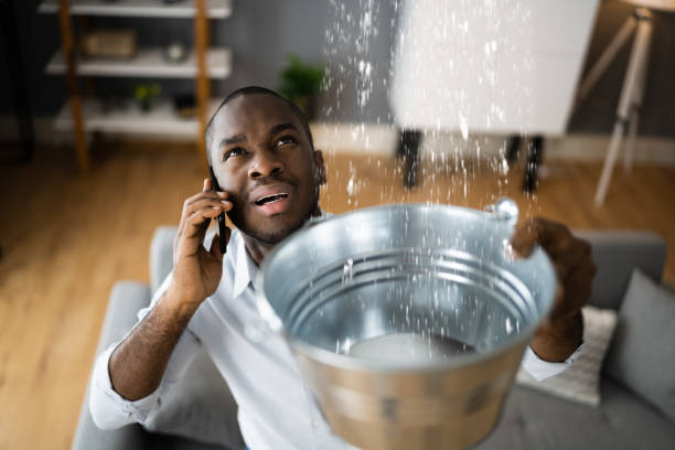 Best Sewage cleanup and water damage restoration  in Ansonia, OH