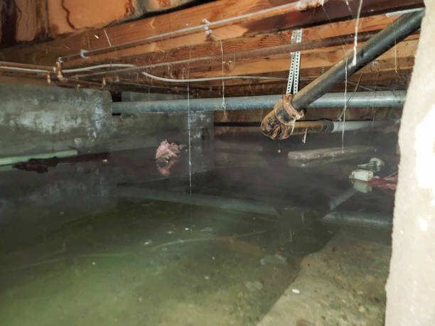 Best Ceiling water damage repair  in Ansonia, OH