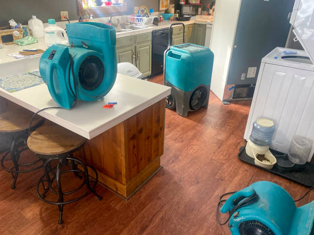 Best Commercial water damage restoration  in Ansonia, OH