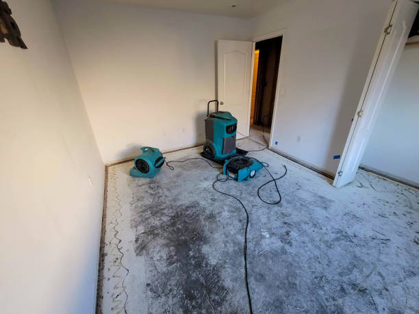 Best Water damage restoration near me  in Ansonia, OH