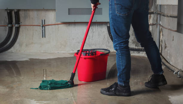 Best Ceiling water damage repair  in Ansonia, OH