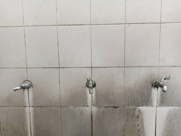 Best Local water damage restoration  in Ansonia, OH