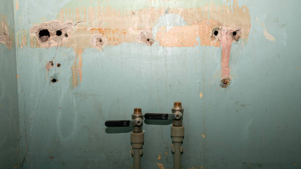 Best Basement water damage restoration  in Ansonia, OH