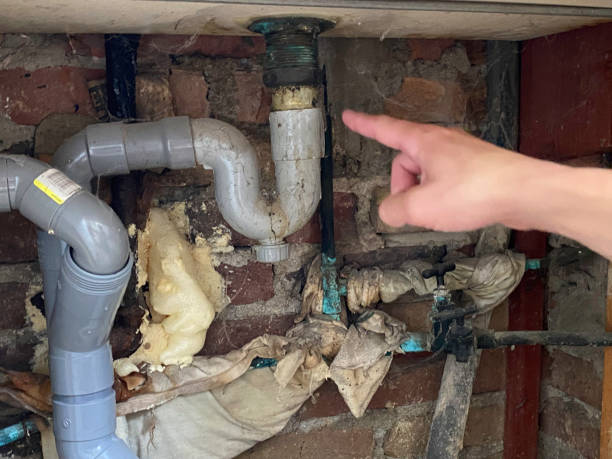 Trusted Ansonia, OH Water damage restoration Experts